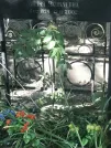 Захоронение ID 1265436