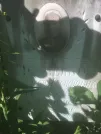 Захоронение ID 1265481