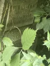 Захоронение ID 1265567