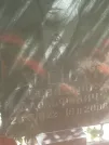 Захоронение ID 1265673