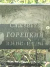 Захоронение ID 1266155