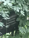 Захоронение ID 1268063