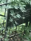Захоронение ID 1268066