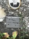 Захоронение ID 1268084