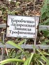 Захоронение ID 1268101