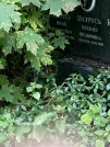 Захоронение ID 1268143