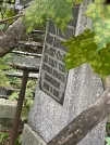 Захоронение ID 1268161