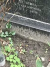 Захоронение ID 1268493