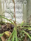 Захоронение ID 1268543