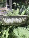 Захоронение ID 1258121