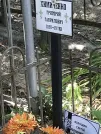 Захоронение ID 1258182
