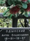 Захоронение ID 1270126