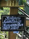 Захоронение ID 1270128