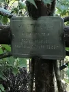 Захоронение ID 1270350