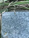 Захоронение ID 1270414