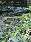 Захоронение ID 1270463