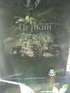 Захоронение ID 1270556