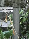 Захоронение ID 1270761