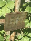 Захоронение ID 1271245