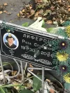 Захоронение ID 1271426