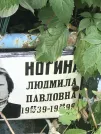 Захоронение ID 1271438