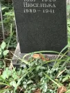 Захоронение ID 1272495