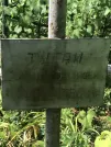 Захоронение ID 1271467