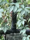 Захоронение ID 1271506