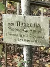Захоронение ID 1271537