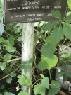Захоронение ID 1271634