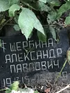 Захоронение ID 1271637