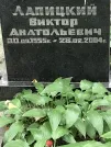 Захоронение ID 1271725