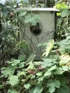 Захоронение ID 1271733