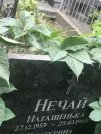 Захоронение ID 1271761