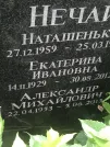 Захоронение ID 1271763