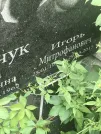 Захоронение ID 1271767