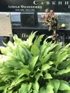 Захоронение ID 1271987