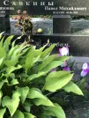 Захоронение ID 1271990