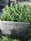 Захоронение ID 1271993