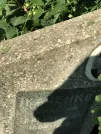 Захоронение ID 1271998