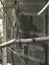 Захоронение ID 1275005