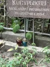 Захоронение ID 1272226