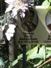 Захоронение ID 1272286
