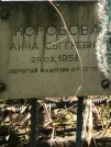 Захоронение ID 1272288