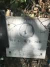 Захоронение ID 1272319