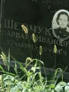 Захоронение ID 1272350