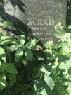 Захоронение ID 1258610