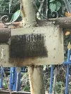 Захоронение ID 1272380