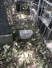 Захоронение ID 1272393