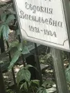 Захоронение ID 1272426